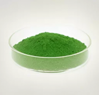 Концентрат люминесцентной магнитной суспензии КЛМС "Диагма-1613", 1 кг